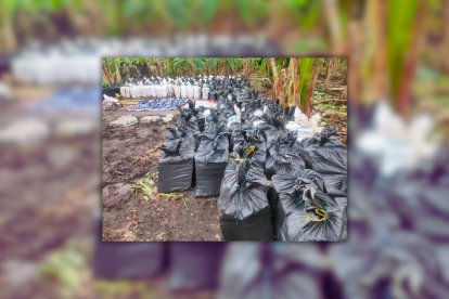 La droga incautada en Vinces fue llevada a Quito para su destrucción, según confirmó la Policía el 25 de enero de 2024.