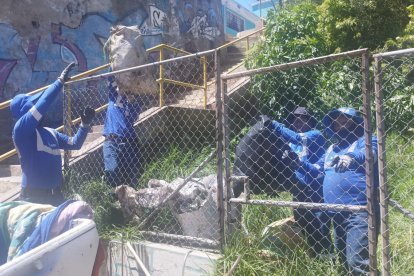 Los problemas con la basura en un área verde del sector San Juan, en el Centro Histórico de Quito, hallaron solución.