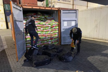 El cargamento fue incautado la noche de este jueves.