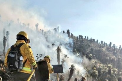 Los intensos vientos han impedido que se controlen las llamas.
