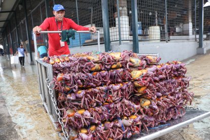 Los cangrejos seguían llegando al muelle de la Caraguay, pero los clientes no.