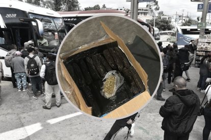 Investigadores indagan cuál sería el destino del