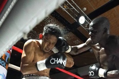 El boxeo del Ecuador se encuentra noqueado.