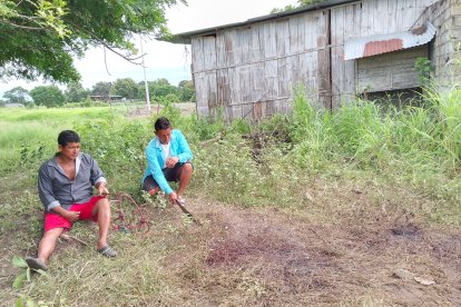 Afectados piden dar con los responsables