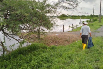El cadáver fue abandonado entre matorrales.