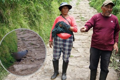 Según los dueños del predio, este es el primer hecho de este tipo que ocurre en 50 años.
