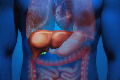 Conoce los beneficios de esta planta, cómo preparar un té nutritivo y las precauciones a tener en cuenta.