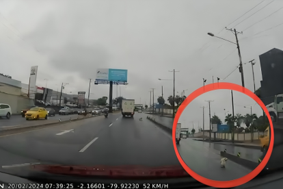 Captura del momento en que el perro fue arrojado del vehículo.