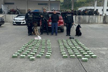 El tipo llevaba la droga en un vehículo, por el sector El Troje.