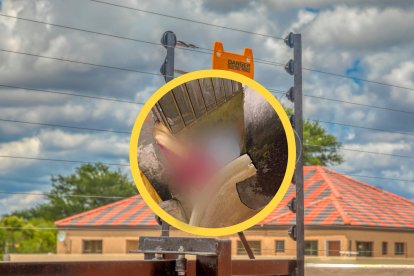 Imagen real muestra como el intruso quedó pegado a la puerta.