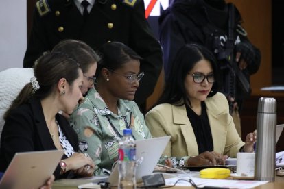 La fiscal general pidió la prisión preventiva para los procesados.