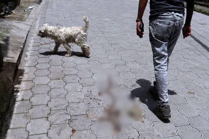 En las afueras de la casa donde ocurrió el hecho violento todavía existe sangre de la víctima.