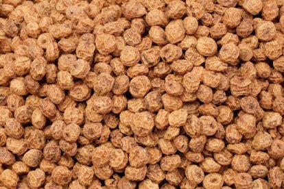 También se la conoce como nuez de tigre, nuez atigrada, castañuela, entre otros nombres.