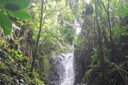 Una de las impresionantes caídas de agua, atractivos turísticos de Centinela del Cóndor.