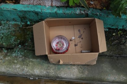 En Durán, en el sector conocido como los helechos, dos personas fueron asesinadas