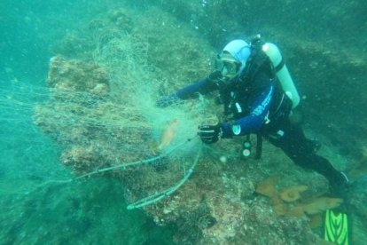Peces fueron rescatados en playa de Muisne.