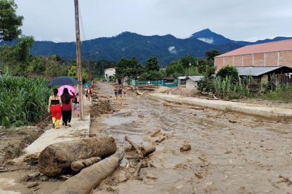 Gran cantidad de lodo y troncos fueron arrastrados por la corriente.