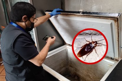 El lugar fue clausurado luego de constatar la presencia de cucarachas en varios espacios de almacenamiento de alimentos