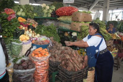 Imagen referencial. Productos alimenticios de origen agrícola estarán exentos de IVA.