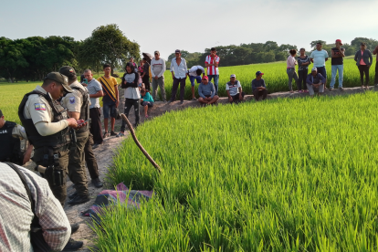 La Policía acudió al lugar para levantar el cadáver.