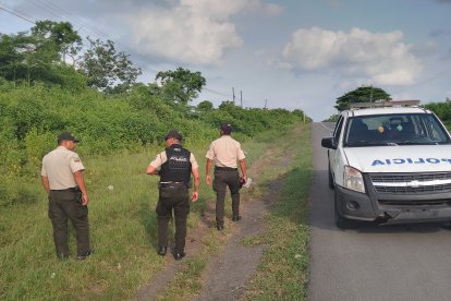La Policía llego a punto donde estaban los equinos muertos.