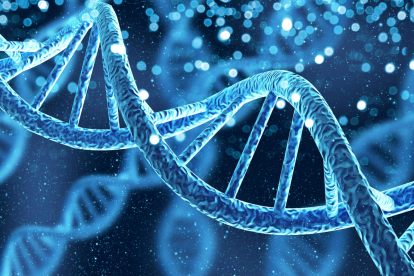 La genética descubrió cómo ocurre este fenómeno.