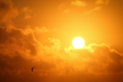 Conoce cómo estará el clima en tu ciudad.