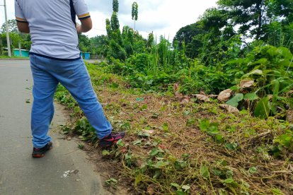 Las víctimas quedaron a un costado de la carretera de la Ruta Ecológica.