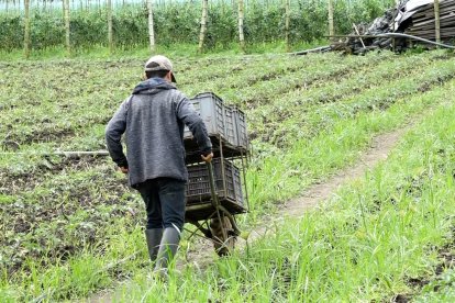 Con el cierre de la vía se incrementa el valor de los productos.