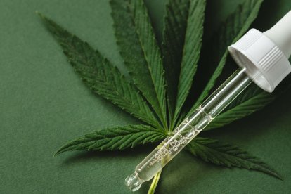 En otros países de la región, el autocultivo se encuentra controlado legalmente.