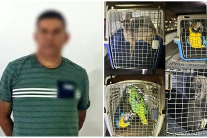 Evidencias del allanmiento realizado en Sucumbios