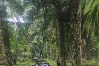 El hallazgo atroz fue en Buena Fe.