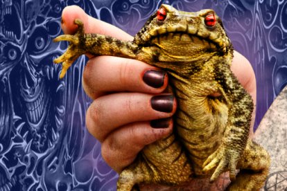 Un sapo sería parte del ritual de brujería.