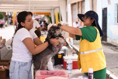 Las personas de Samborondón se sienten escuchadas.
