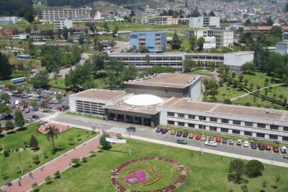 Las nuevas elecciones se deberán realizar en un plazo de 30 días