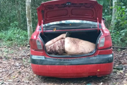 Los cuerpos estaban en dos sacos.