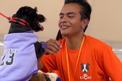 Se realiza una feria de animalitos en Cumbayá.