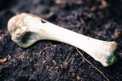 El macabro hallazgo se dio la mañana de este 10 de junio.