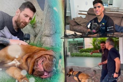 Lionel Messi, Piero Hincapié y Ariel Holan con sus mascotas.