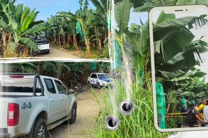 La víctima fue encontrada en un camino entre plantaciones de banano.