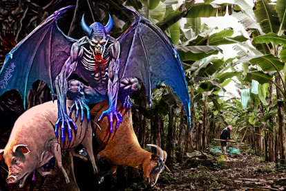 La gente deduce que se trata de un animal grande que vuela como si fuera la mítica gárgola.