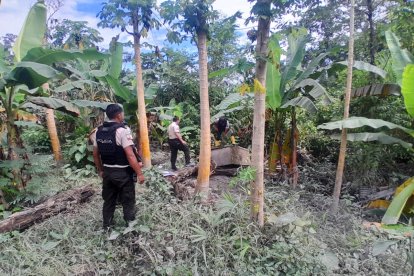 El féretro encontrado en un terreno baldío todavía se encontraba dentro de su nicho.