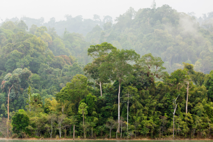 Este 29 de junio se celebra el Día Internacional de los Trópicos.