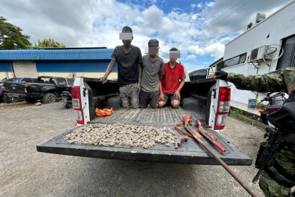 Los detenidos desenterraron armas y sustancias catalogadas sujetas a fiscalización.