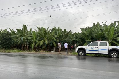 El hallazgo se hizo la mañana de este domingo 14 de julio.