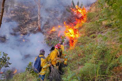 Animales fueron víctimas de una incendio forestal en Quilanga.