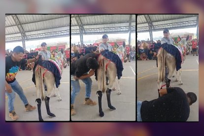 Esto es parte de la secuencia del concurso que llevó a un hombre a ganarse un premio. No tuvo contrincantes.