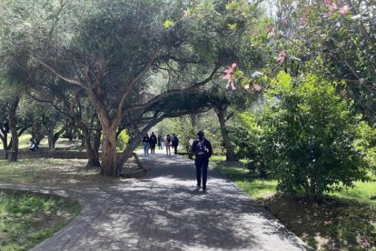 Un juez negó la acción de protección que interpusieron el rector y vicerrectores de la Universidad Central del Ecuador.