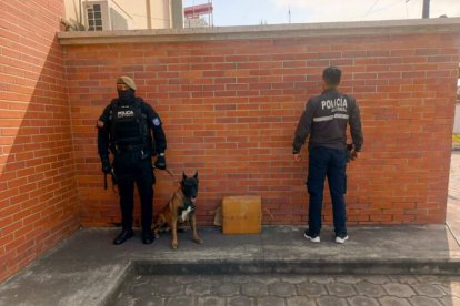 Policías y un perro antidrogas juntos a la caja donde se descubrió el alijo contaminado con cocaína.