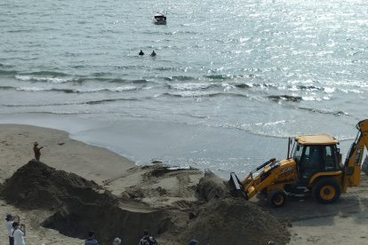 El animal muerto causó asombro entre turistas en Ballenita.